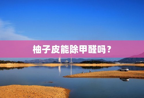 柚子皮能除甲醛吗？