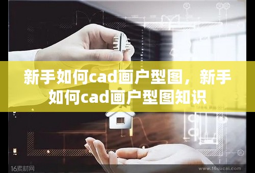 新手如何cad画户型图，新手如何cad画户型图知识