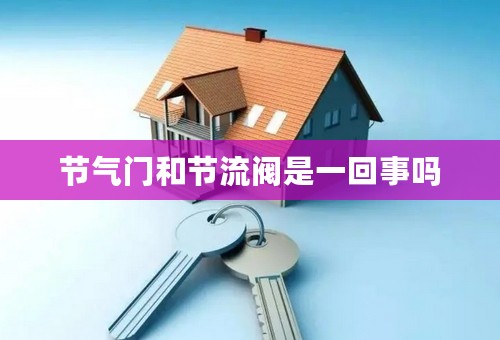 节气门和节流阀是一回事吗