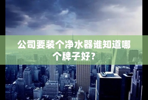公司要装个净水器谁知道哪个牌子好？