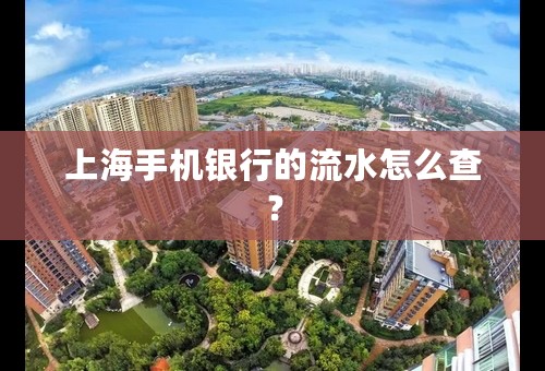 上海手机银行的流水怎么查？