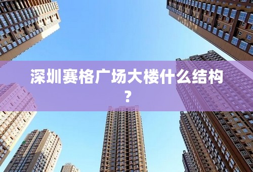 深圳赛格广场大楼什么结构？