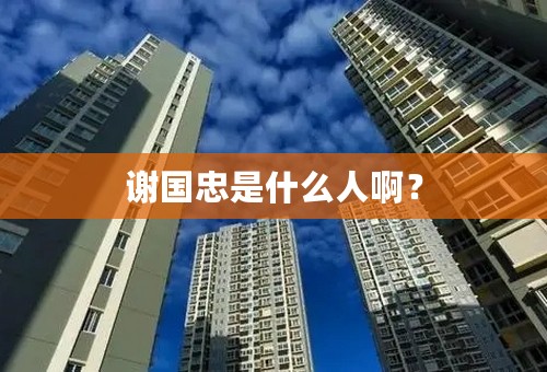 谢国忠是什么人啊？