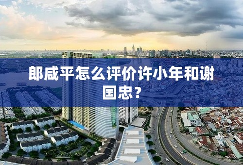 郎咸平怎么评价许小年和谢国忠？