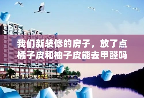 我们新装修的房子，放了点橘子皮和柚子皮能去甲醛吗？
