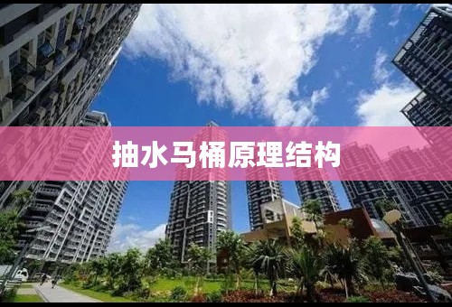 抽水马桶原理结构