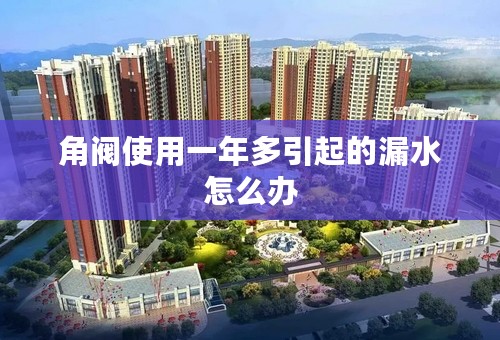 角阀使用一年多引起的漏水怎么办