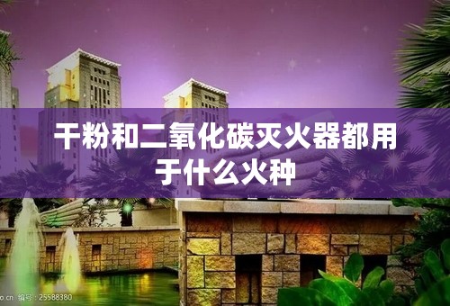 干粉和二氧化碳灭火器都用于什么火种