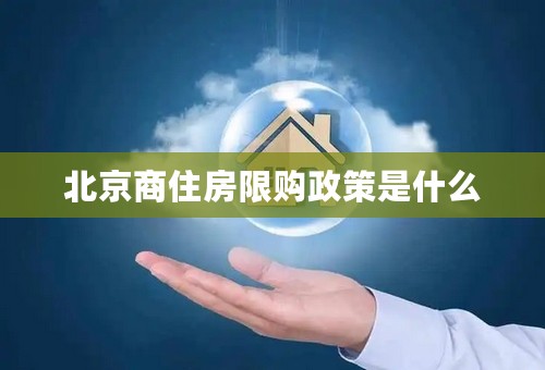 北京商住房限购政策是什么