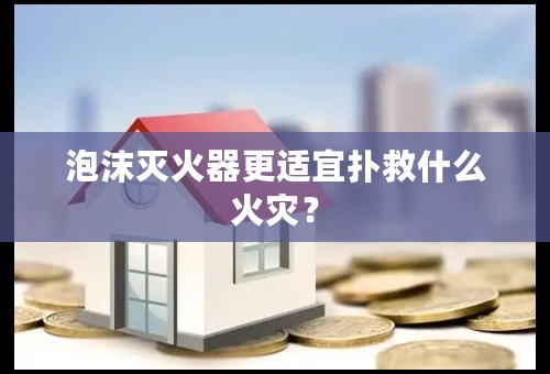 泡沫灭火器更适宜扑救什么火灾？