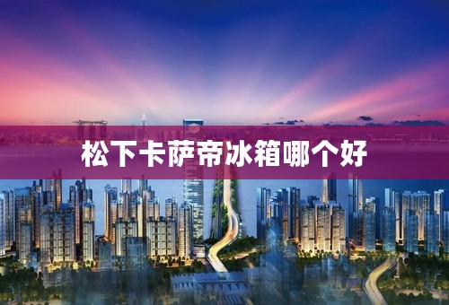 松下卡萨帝冰箱哪个好