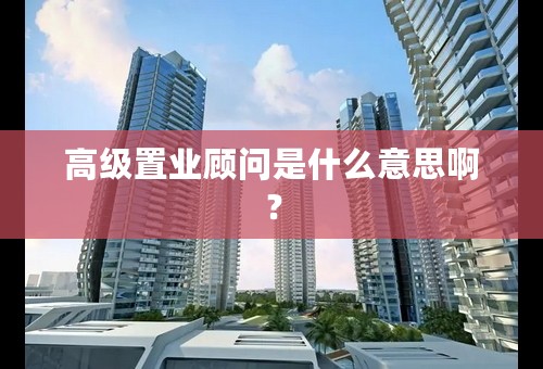 高级置业顾问是什么意思啊？