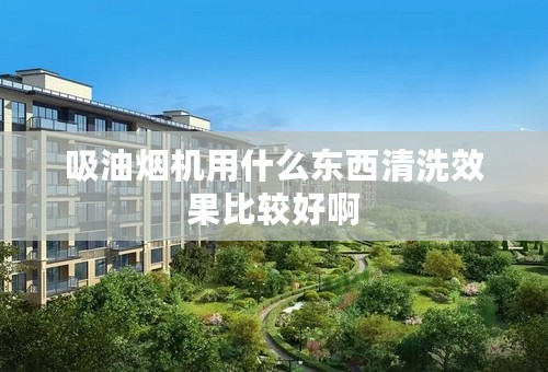 吸油烟机用什么东西清洗效果比较好啊