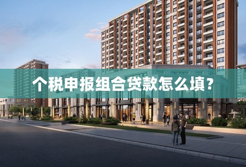 个税申报组合贷款怎么填？