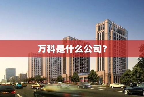 万科是什么公司？