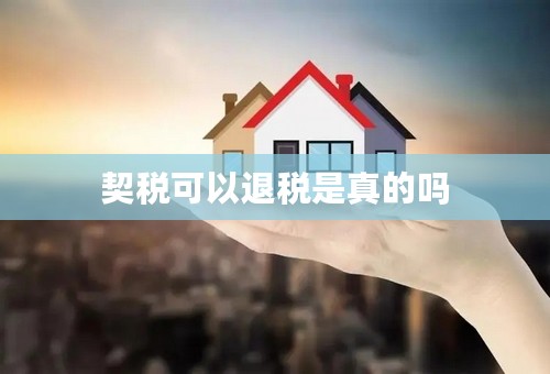 契税可以退税是真的吗