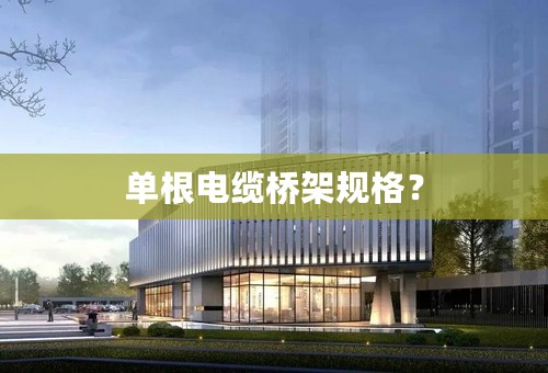 单根电缆桥架规格？