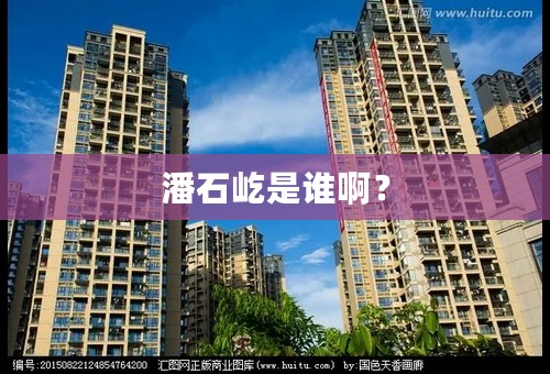 潘石屹是谁啊？