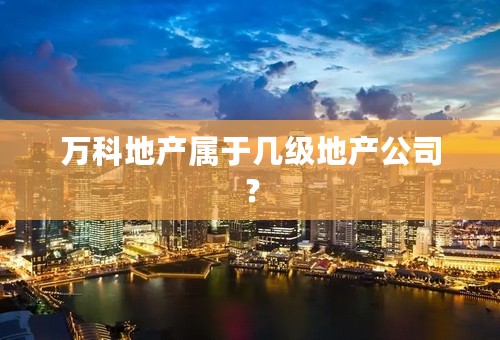万科地产属于几级地产公司？