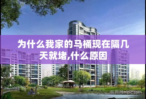为什么我家的马桶现在隔几天就堵,什么原因