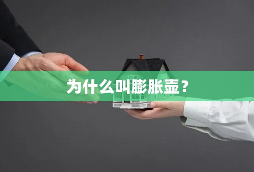 为什么叫膨胀壶？