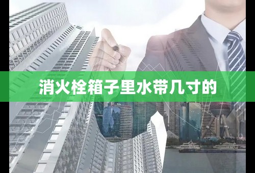 消火栓箱子里水带几寸的