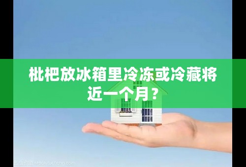 枇杷放冰箱里冷冻或冷藏将近一个月？