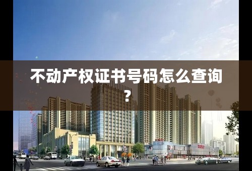 不动产权证书号码怎么查询？