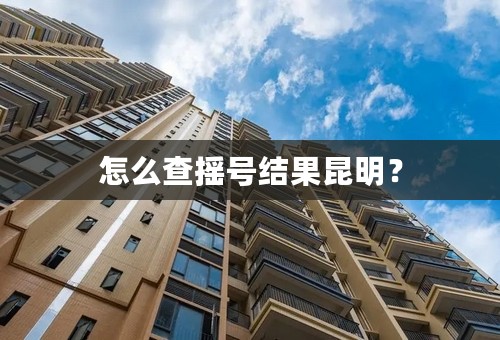 怎么查摇号结果昆明？