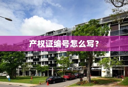 产权证编号怎么写？