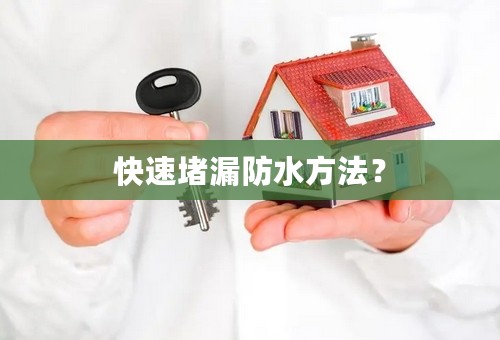 快速堵漏防水方法？