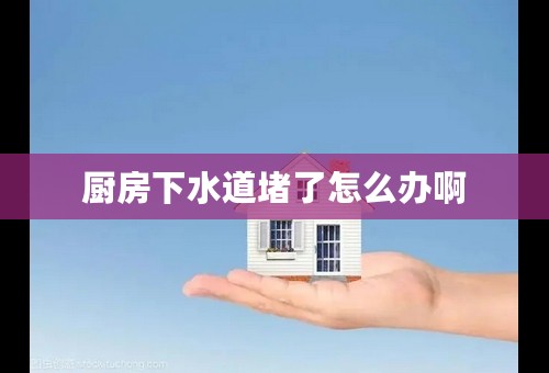 厨房下水道堵了怎么办啊