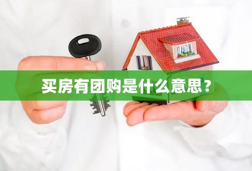 买房有团购是什么意思？