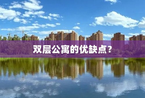 双层公寓的优缺点？