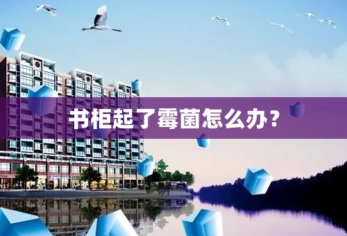 书柜起了霉菌怎么办？