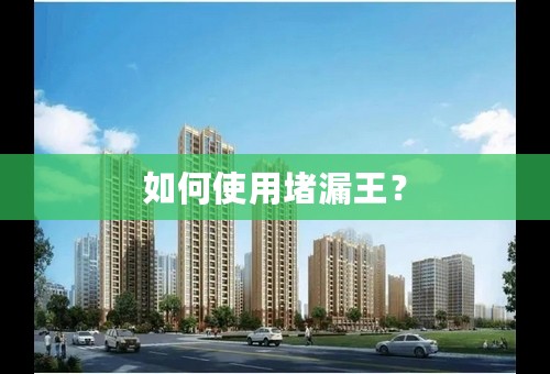 如何使用堵漏王？