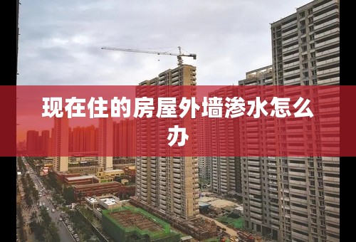 现在住的房屋外墙渗水怎么办