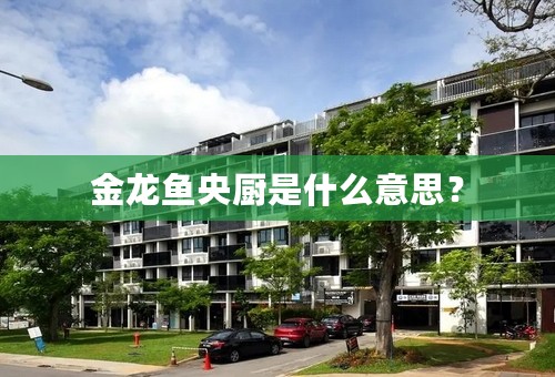 金龙鱼央厨是什么意思？