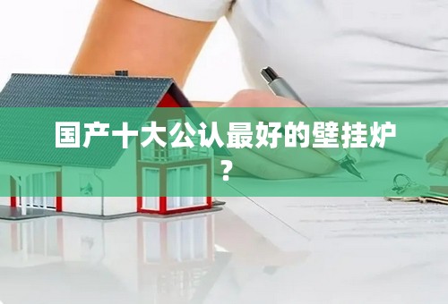 国产十大公认最好的壁挂炉？