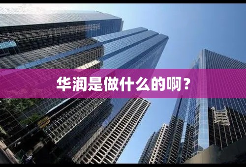 华润是做什么的啊？