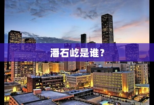 潘石屹是谁？