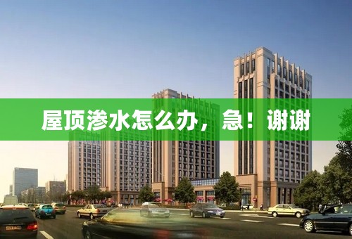 屋顶渗水怎么办，急！谢谢
