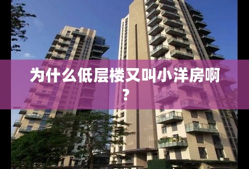 为什么低层楼又叫小洋房啊？