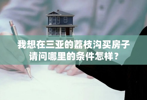我想在三亚的荔枝沟买房子请问哪里的条件怎样？
