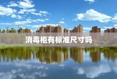 消毒柜有标准尺寸吗
