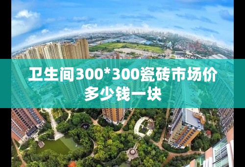 卫生间300*300瓷砖市场价多少钱一块