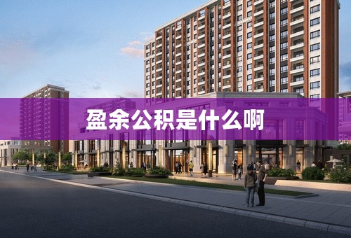 盈余公积是什么啊