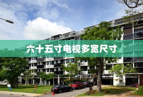 六十五寸电视多宽尺寸