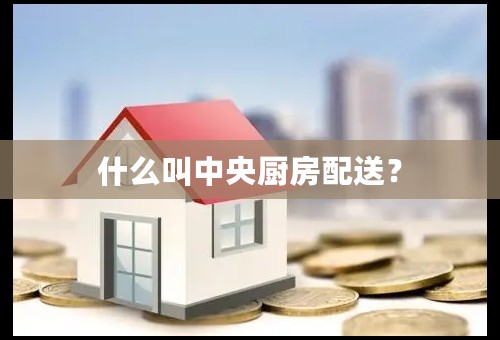 什么叫中央厨房配送？