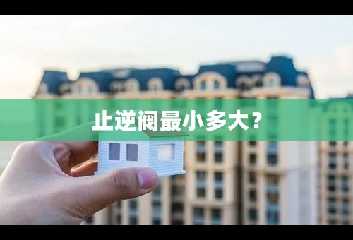 止逆阀最小多大？